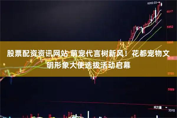 股票配资资讯网站 萌宠代言树新风!花都宠物文明形象大使选拔活动启幕